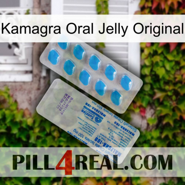 Kamagra Oral Jelly Original new15